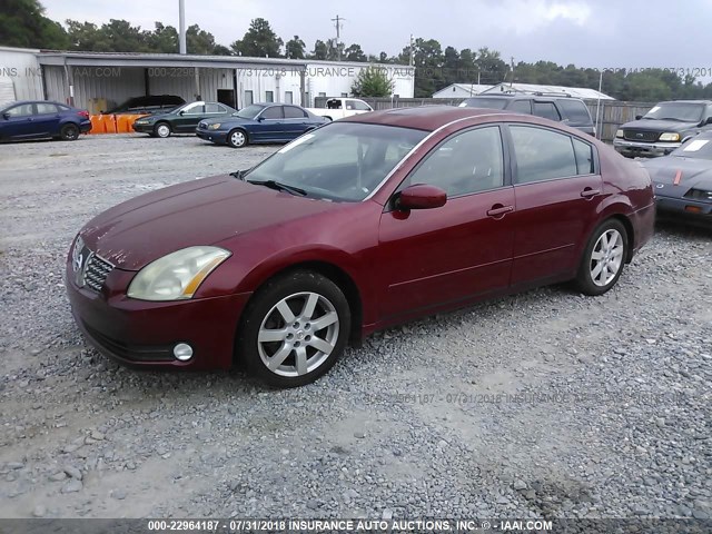 1N4BA41E86C831055 - 2006 NISSAN MAXIMA SE/SL RED photo 2