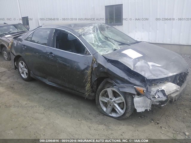 4T1BF1FK7DU239609 - 2013 TOYOTA CAMRY L/SE/LE/XLE Boz foto 1