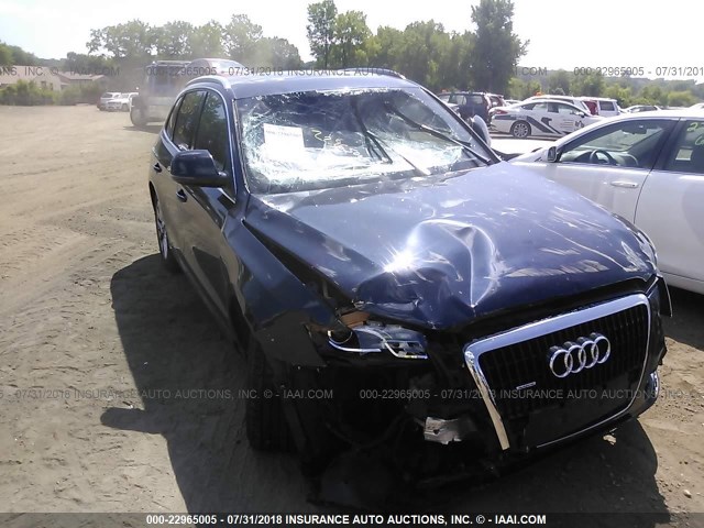 WA1LKAFP8AA075455 - 2010 AUDI Q5 PREMIUM PLUS Dark Blue photo 6