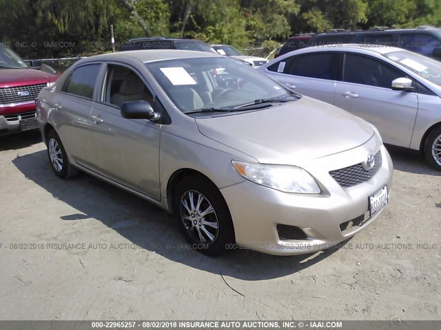 1NXBU40E09Z015096 - 2009 TOYOTA COROLLA S/LE/XLE GOLD photo 1