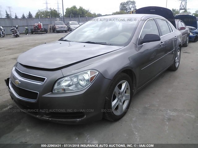 1G1ZB5EB1AF266322 - 2010 CHEVROLET MALIBU LS Champagne photo 2