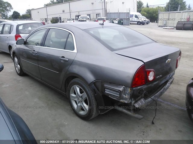 1G1ZB5EB1AF266322 - 2010 CHEVROLET MALIBU LS Champagne photo 3