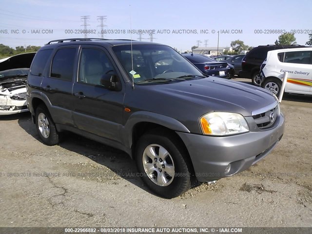 4F2YU08192KM45672 - 2002 MAZDA TRIBUTE LX/ES ნაცრისფერი ფოტო 1