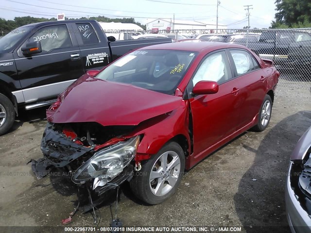 2T1BU4EE5BC552451 - 2011 TOYOTA COROLLA S/LE RED photo 2