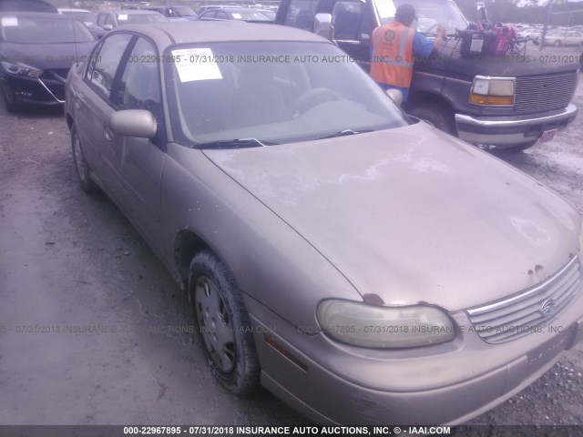 1G1ND52T5W6110796 - 1998 CHEVROLET MALIBU GOLD photo 1