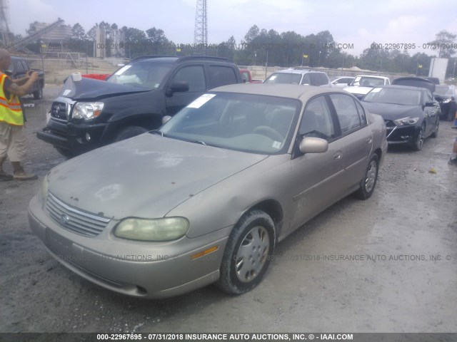 1G1ND52T5W6110796 - 1998 CHEVROLET MALIBU GOLD photo 2