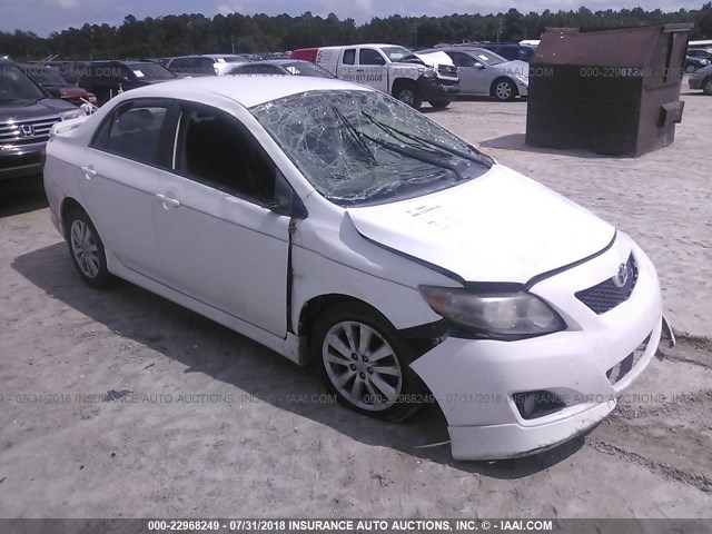 1NXBU4EEXAZ339282 - 2010 TOYOTA COROLLA S/LE/XLE WHITE photo 1