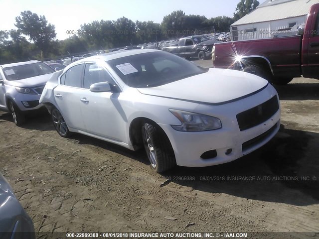 1N4AA51EX9C812416 - 2009 NISSAN MAXIMA S/SV WHITE photo 1