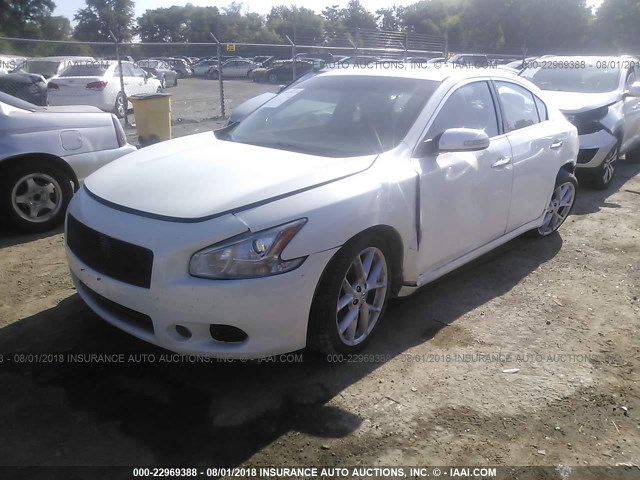 1N4AA51EX9C812416 - 2009 NISSAN MAXIMA S/SV WHITE photo 2