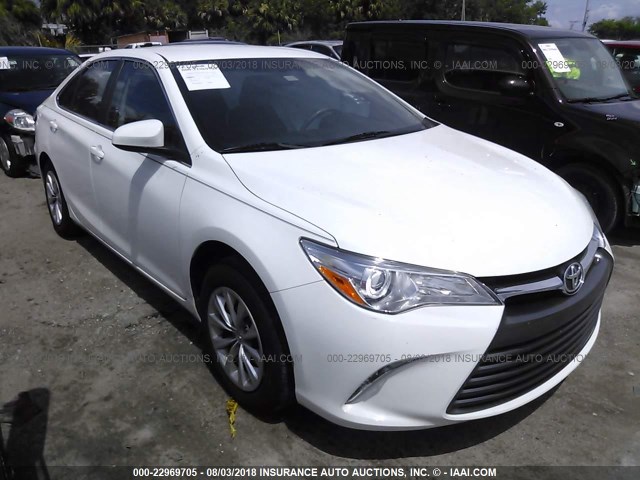 4T4BF1FK3GR550318 - 2016 TOYOTA CAMRY LE/XLE/SE/XSE WHITE photo 1