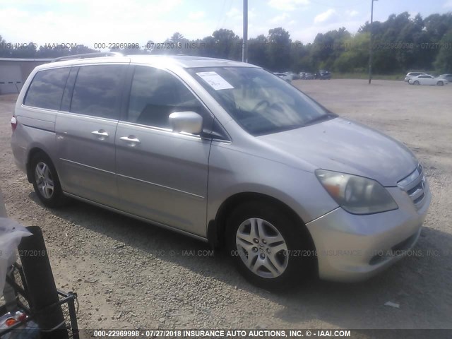 5FNRL387X5B043738 - 2005 HONDA ODYSSEY EXL Champagne photo 1