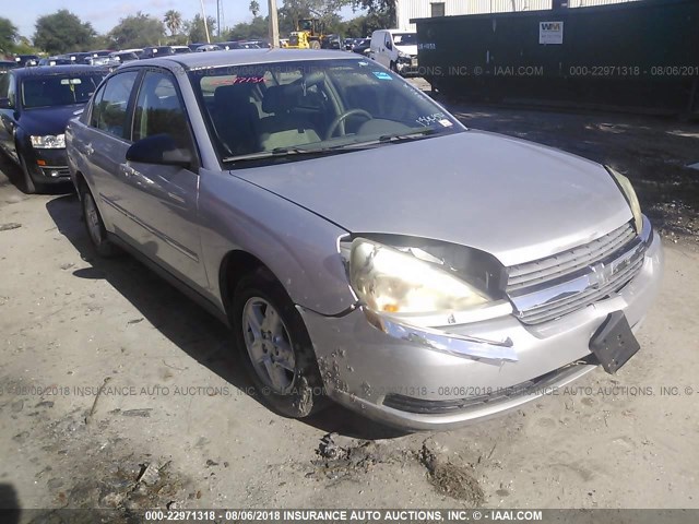 1G1ZT54894F139454 - 2004 CHEVROLET MALIBU LS ნაცრისფერი ფოტო 1