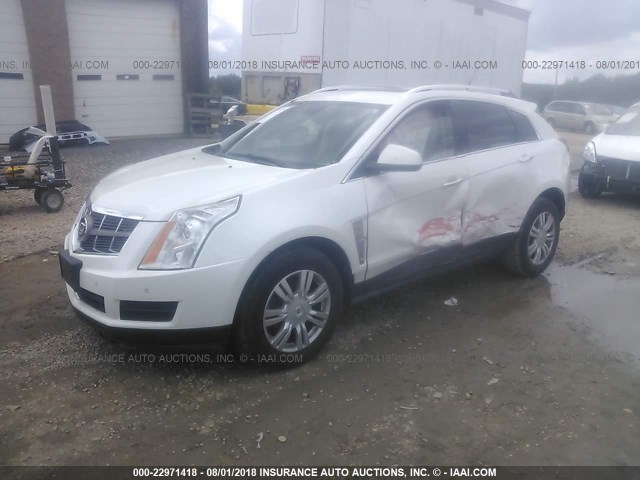 3GYFNAEY8BS618091 - 2011 CADILLAC SRX LUXURY COLLECTION WHITE photo 2