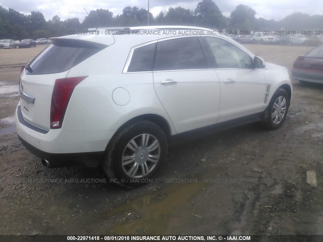 3GYFNAEY8BS618091 - 2011 CADILLAC SRX LUXURY COLLECTION WHITE photo 4