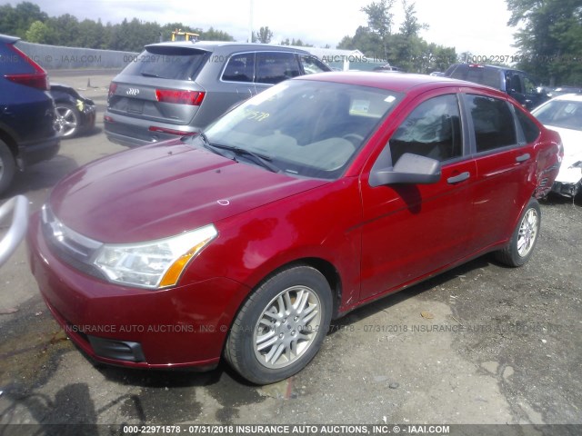 1FAHP3FN4BW160021 - 2011 FORD FOCUS SE RED photo 2