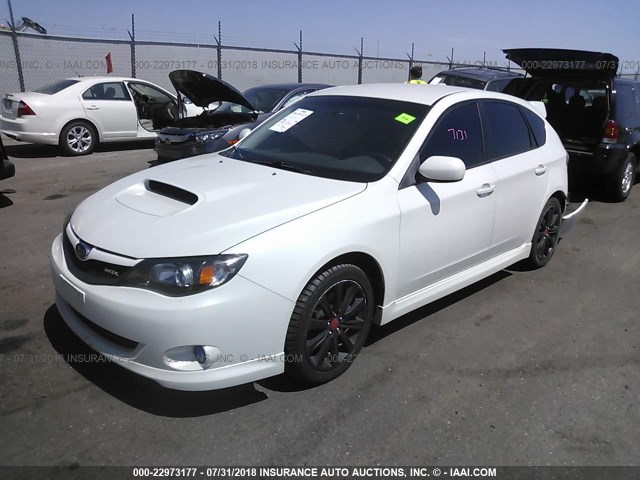 JF1GH76659G825392 - 2009 SUBARU IMPREZA WRX WHITE photo 2