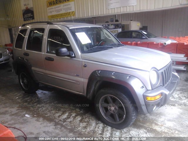 1J4GK48K33W710642 - 2003 JEEP LIBERTY SPORT/FREEDOM ვერცხლისფერი ფოტო 1