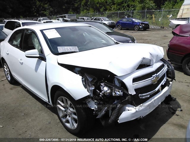 1G11D5SR9DF128184 - 2013 CHEVROLET MALIBU 1LT 白色 照片 1