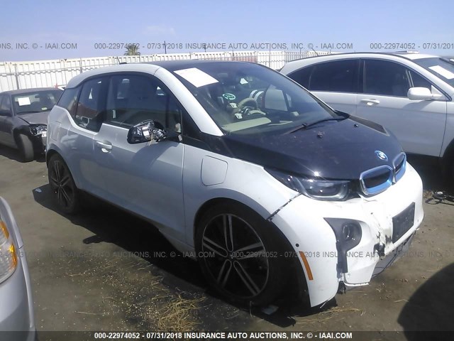 WBY1Z4C55FV502196 - 2015 BMW I3 REX Ağ foto 1