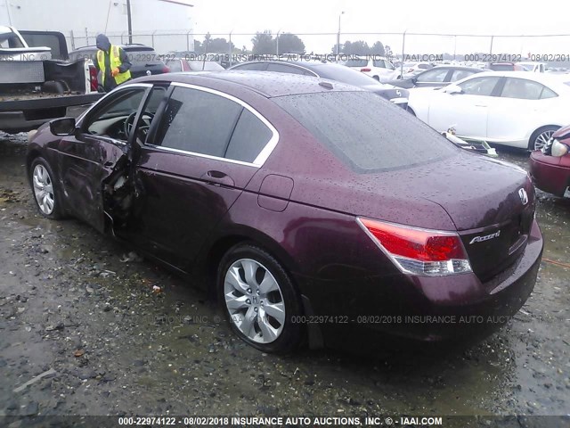 1HGCP26818A141622 - 2008 HONDA ACCORD EXL BURGUNDY photo 3