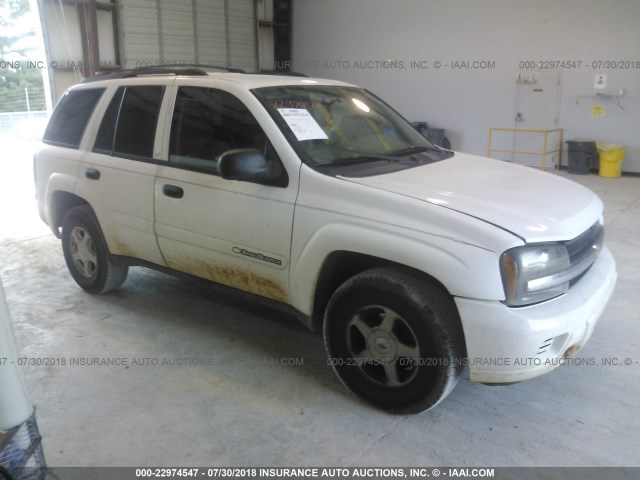 1GNDT13SX22246290 - 2002 CHEVROLET TRAILBLAZER  WHITE photo 1