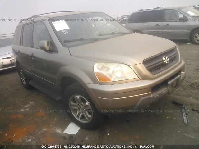 2HKYF18543H543382 - 2003 HONDA PILOT EXL GOLD photo 1