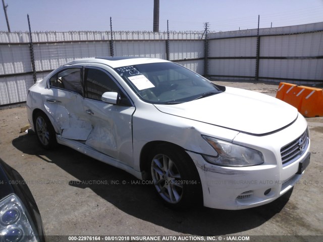 1N4AA5AP4BC867208 - 2011 NISSAN MAXIMA S/SV WHITE photo 1