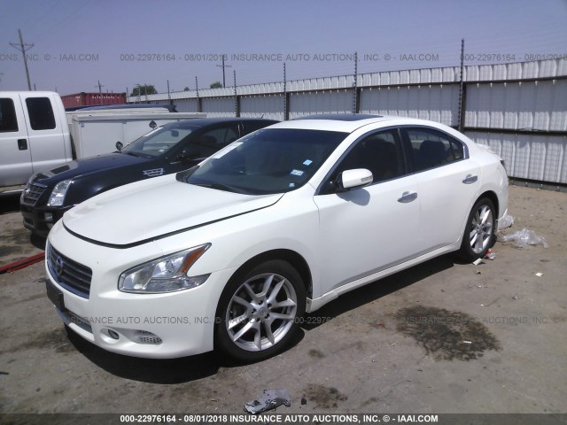 1N4AA5AP4BC867208 - 2011 NISSAN MAXIMA S/SV WHITE photo 2