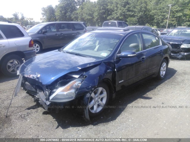 1N4CL21E48C176754 - 2008 NISSAN ALTIMA HYBRID BLUE photo 2