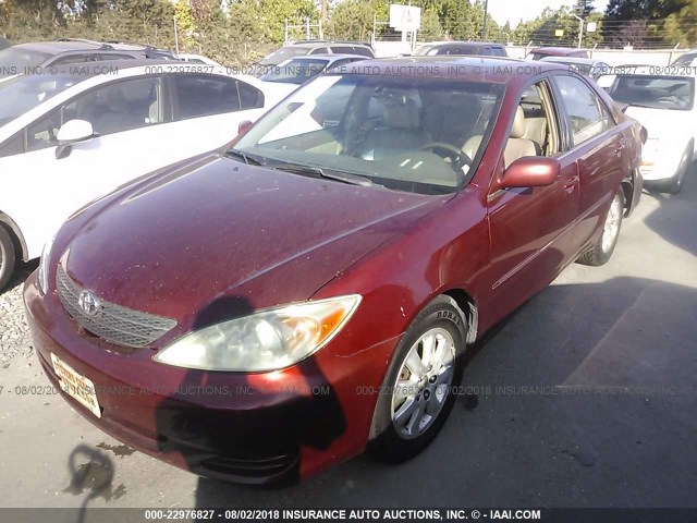 4T1BF30K82U028579 - 2002 TOYOTA CAMRY LE/XLE/SE Bordo foto 2