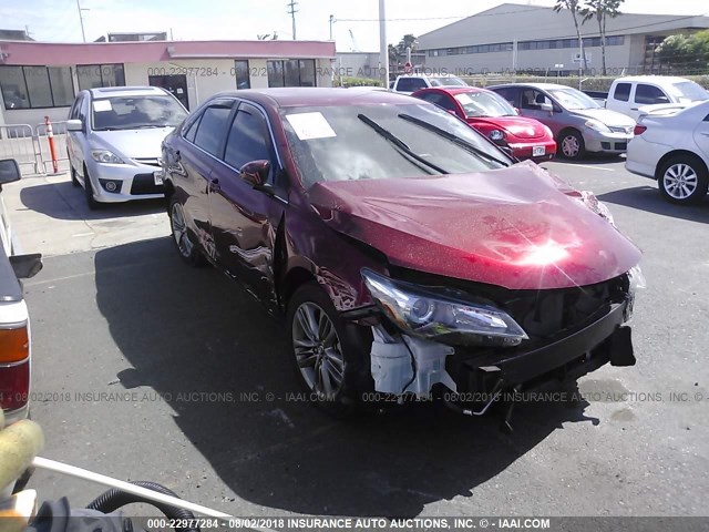 4T1BF1FK6HU737340 - 2017 TOYOTA CAMRY LE/XLE/SE/XSE 红色 照片 1