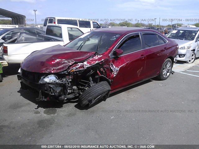 4T1BF1FK6HU737340 - 2017 TOYOTA CAMRY LE/XLE/SE/XSE 红色 照片 2
