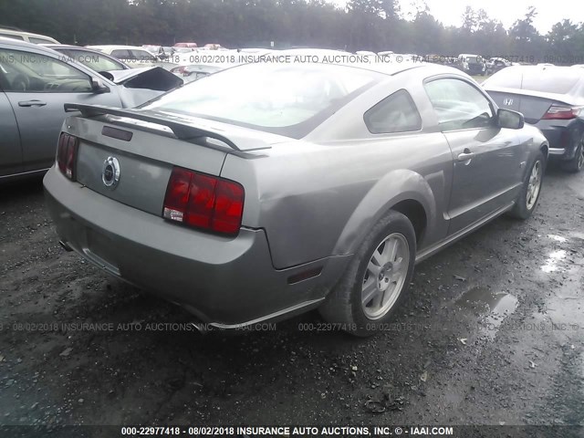 1ZVHT82H685139671 - 2008 FORD MUSTANG GT GRAY photo 4