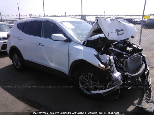 5NMZTDLB9JH060430 - 2018 HYUNDAI SANTA FE SPORT  WHITE photo 1