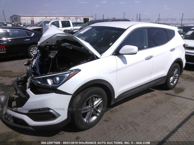 5NMZTDLB9JH060430 - 2018 HYUNDAI SANTA FE SPORT  WHITE photo 2