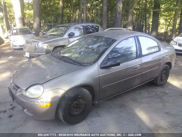 1B3ES26C62D551060 - 2002 DODGE NEON GOLD photo 2