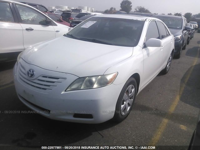 4T1BE46K07U718365 - 2007 TOYOTA CAMRY NEW GENERAT CE/LE/XLE/SE WHITE photo 2