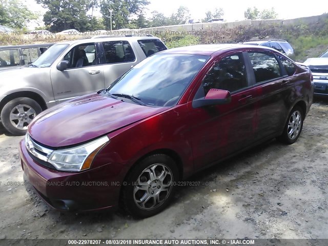 1FAHP36N49W218140 - 2009 FORD FOCUS SES RED photo 2