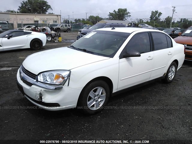 1G1ZT52884F126603 - 2004 CHEVROLET MALIBU LS 白色 照片 2