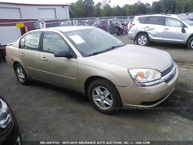 1G1ZT54815F142026 - 2005 CHEVROLET MALIBU LS 棕色 照片 1