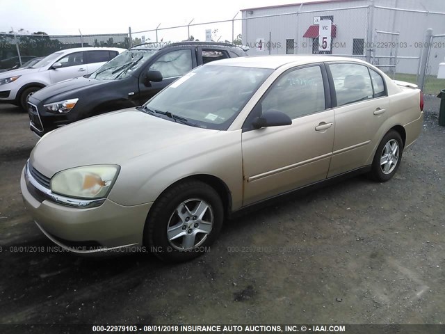 1G1ZT54815F142026 - 2005 CHEVROLET MALIBU LS 棕色 照片 2