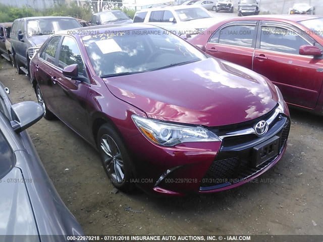 4T1BF1FK9HU773250 - 2017 TOYOTA CAMRY LE/XLE/SE/XSE RED photo 1