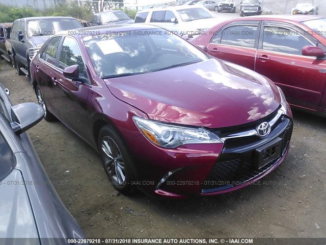 4T1BF1FK9HU773250 - 2017 TOYOTA CAMRY LE/XLE/SE/XSE 红色 照片 1