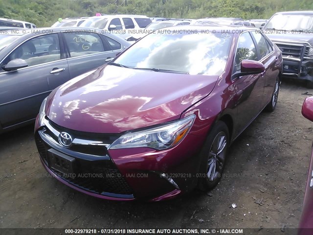 4T1BF1FK9HU773250 - 2017 TOYOTA CAMRY LE/XLE/SE/XSE RED photo 2