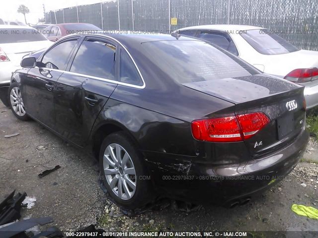 WAUEFAFLXBN018522 - 2011 AUDI A4 PREMIUM PLUS BROWN photo 3