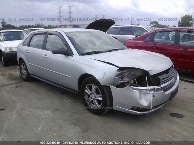 1G1ZT62864F221229 - 2004 CHEVROLET MALIBU MAXX LS 银色 照片 1