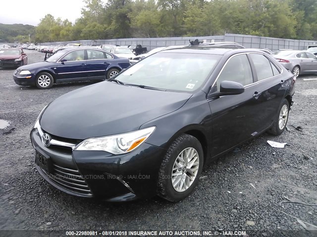 4T4BF1FK5GR542124 - 2016 TOYOTA CAMRY LE/XLE/SE/XSE 蓝色 照片 2