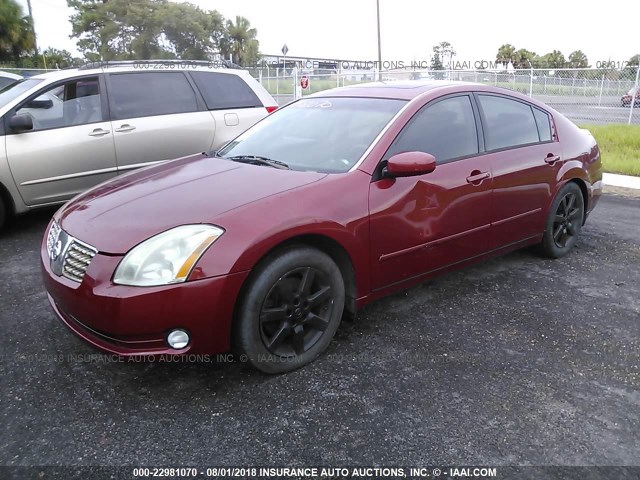 1N4BA41E95C846355 - 2005 NISSAN MAXIMA SE/SL MAROON photo 2