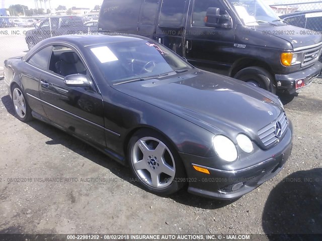 WDBPJ75J43A038138 - 2003 MERCEDES-BENZ CL 500 GRAY photo 1