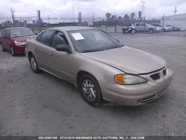 1G2NF52EX4M575705 - 2004 PONTIAC GRAND AM SE1 GOLD photo 1